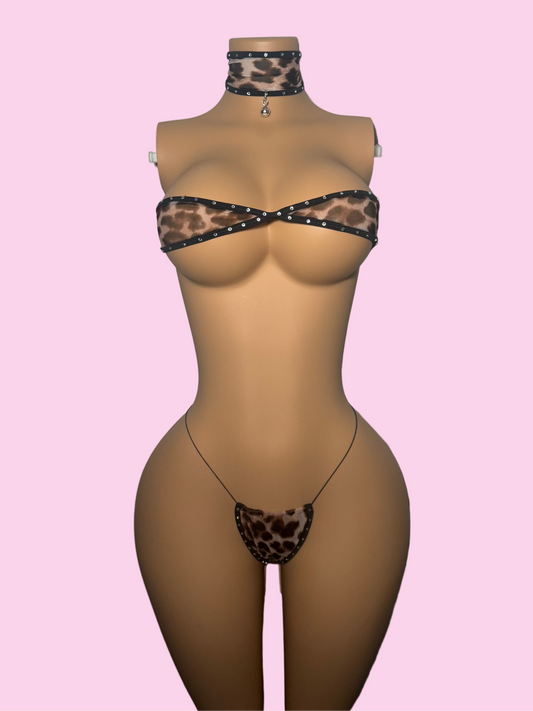Kat