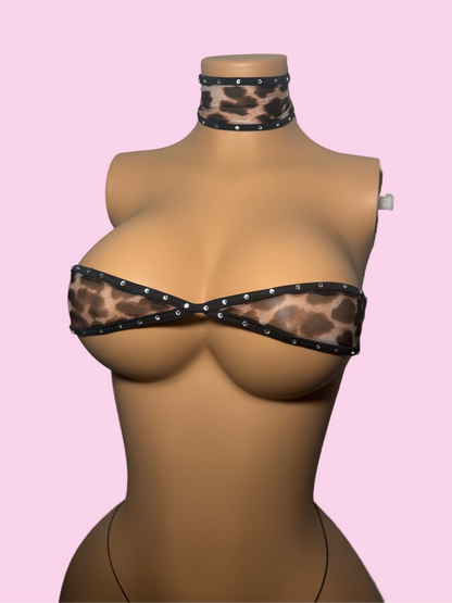 Kat