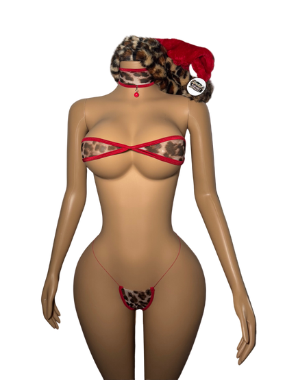 Kat | Christmas Edition 🎄