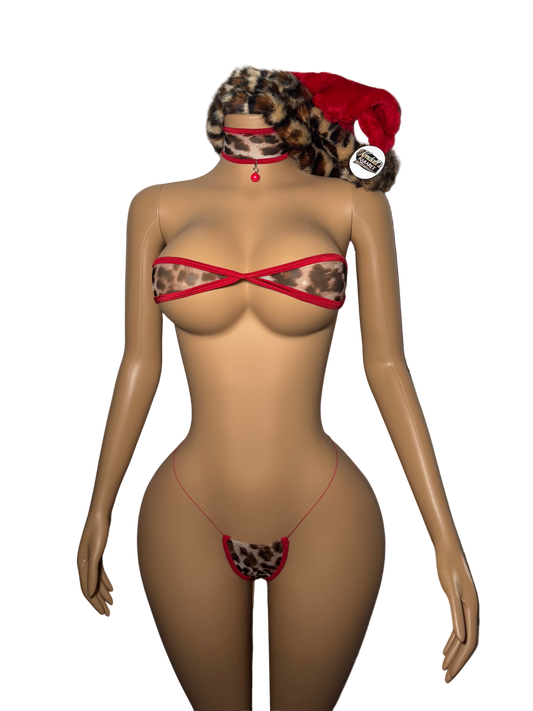 Kat | Christmas Edition 🎄