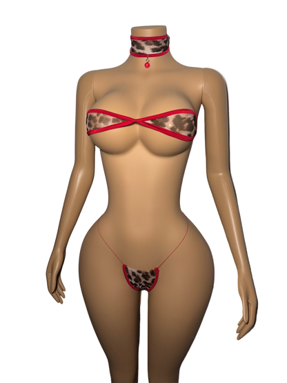 Kat | Christmas Edition 🎄