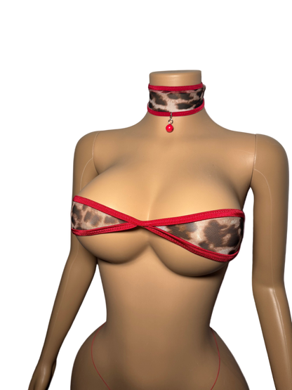 Kat | Christmas Edition 🎄